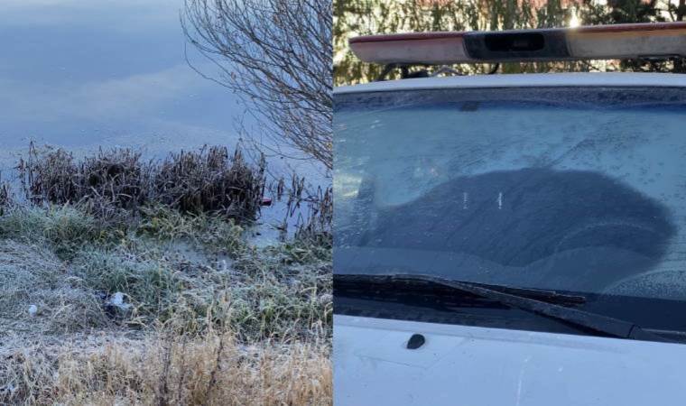 Ardahan'da soğuk hava... Camlar dondu, bitkiler kırağı tuttu!