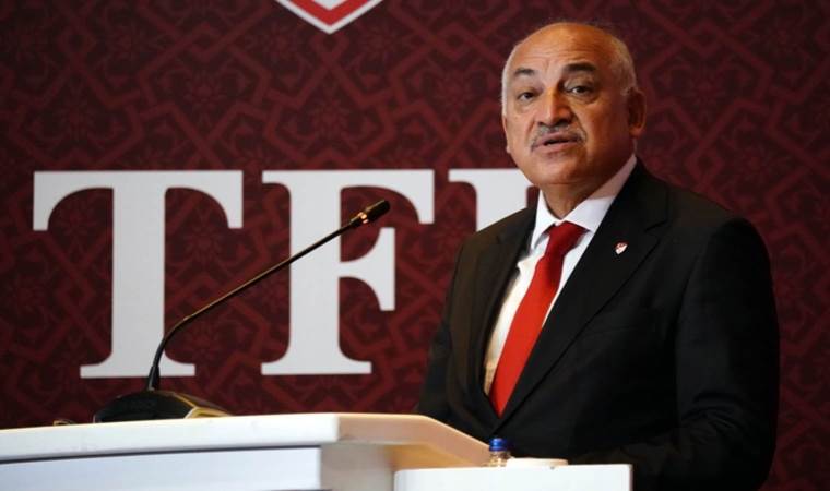 TFF Başkanı Mehmet Büyükekşi'den Milli Takım açıklaması: 'EURO 2024'ten umutluyuz'