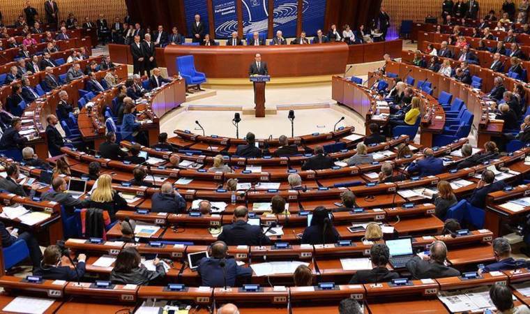 Avrupa Konseyi'nden Danimarka'ya tepki