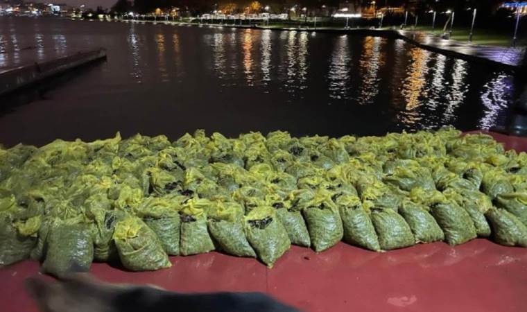 İstanbul’da 4 ton kaçak midye ele geçirildi