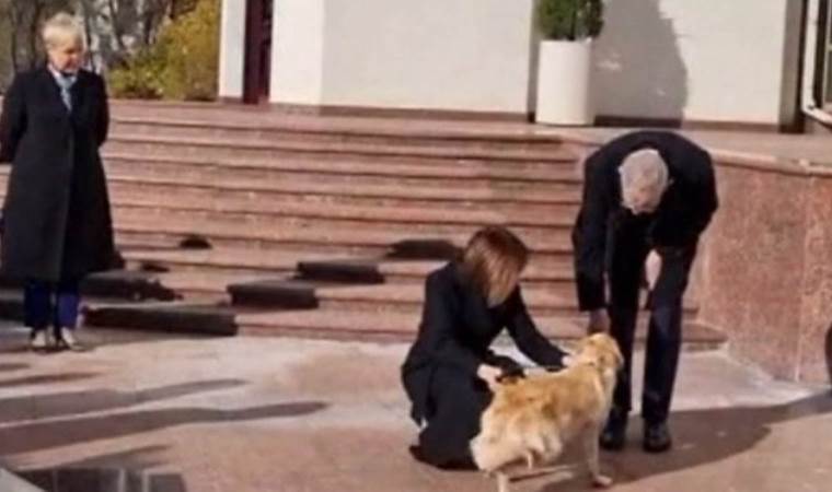 Devlet Başkanı'nın elini köpek ısırdı: Protokol alt üst oldu