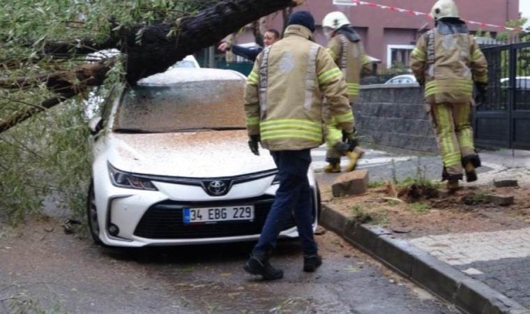 Kartal’da otomobillerin üzerine ağaç devrildi