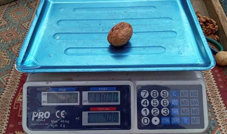 'Türkiye Yüzyılı'nda cevizin tanesi dudak uçuklattı!