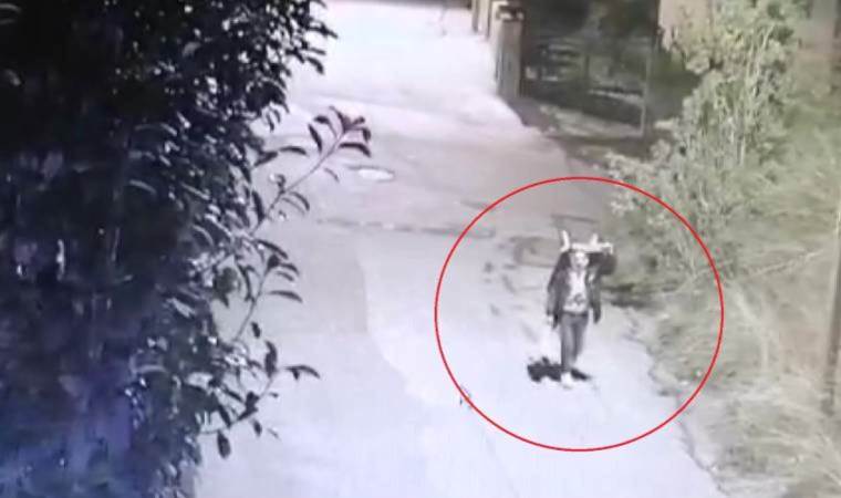 El arabası ile milyonluk hırsızlık kamerada... Villadan çelik kasa çaldı!