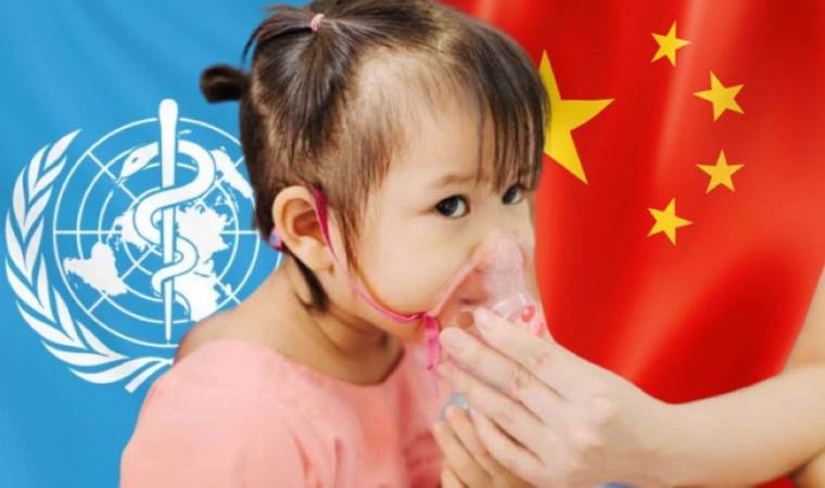 DSÖ, Çin'den resmi belge talep etti