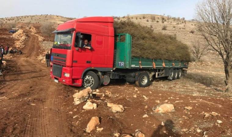 İstanbul'u terk etti, Mardin'de yapılmayanı yaptı! Başarmak 4 yılını aldı...