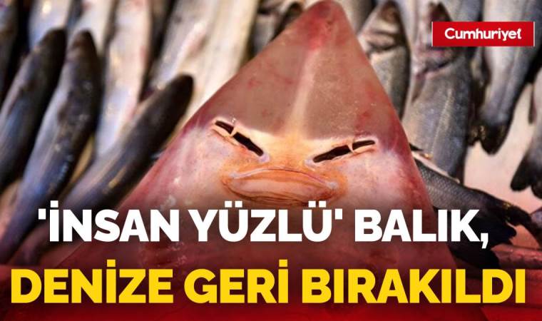 Nesli azalan tür olan 'insan yüzlü balık' ağlara takıldı (23 Kasım 2023) (Video Haber)