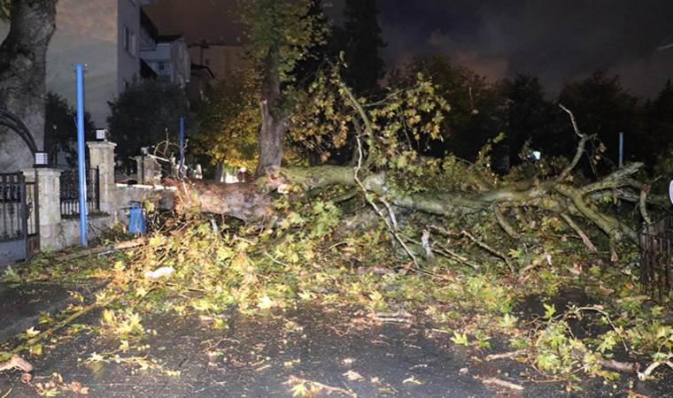 Denizli'de kuvvetli rüzgar: Çatılar uçtu, ağaçlar devrildi