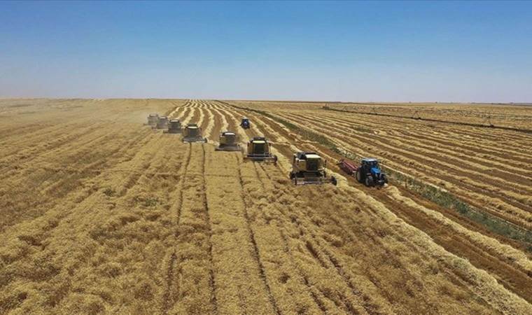 Resmi Gazete'de yayımlandı! Tarımsal destek ödemeleri arttırıldı