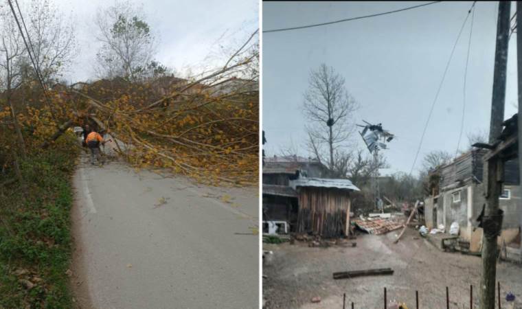 Samsun'da fırtına etkili oldu... Elektrik direkleri devrildi