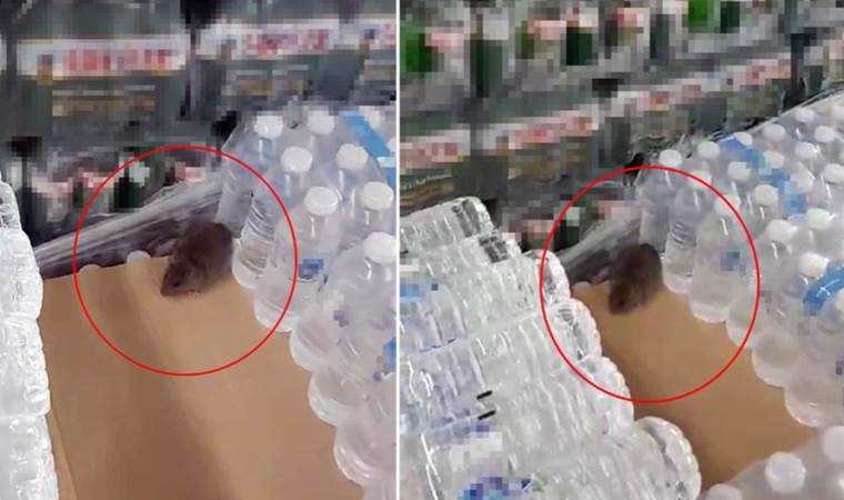 BİM'de şoke eden görüntü: 'Fare bastı'