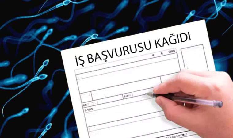 CV'ye bakan yönetici gözlerine inanamadı: Sperm sayısını yazmış