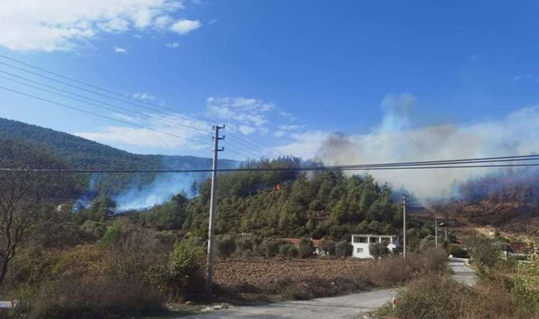 Muğla'daki orman yangını kontrol altına alındı (04 Kasım 2023)