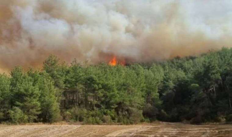 Çanakkale’de orman yangını!