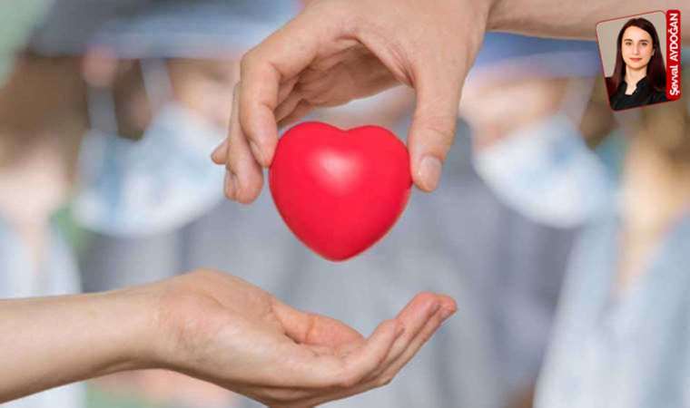 'İzin Ver, Yaşasın'