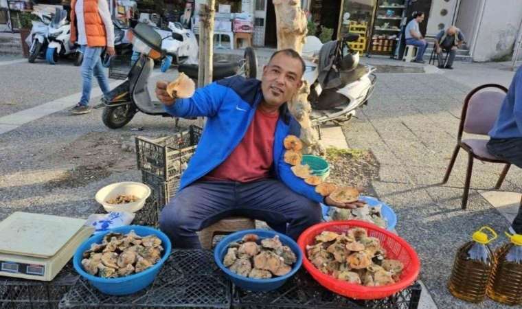 C vitamini deposunun sezonu başladı: Kilosu 200 lira