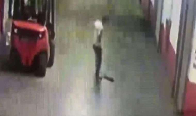 İstanbul'da poşete koyduğu kediyi tekmeleyerek öldürdü!