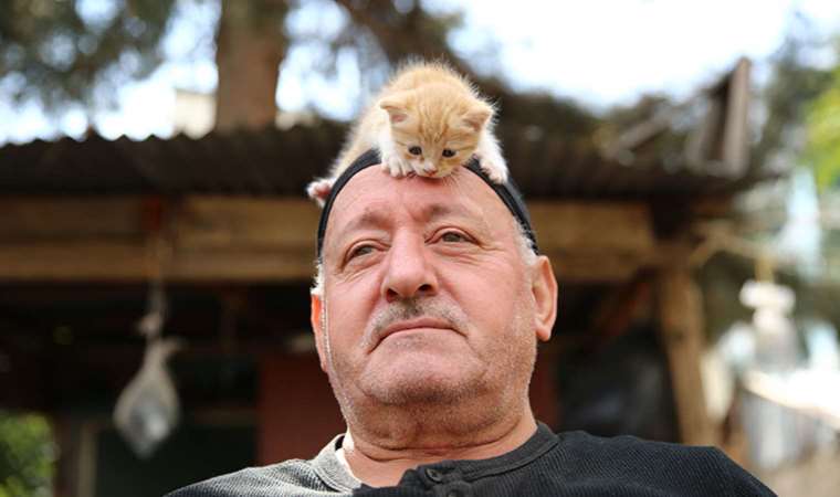 Kedi sevgisi müteahhitlerin tekliflerine 'dur' dedirtti