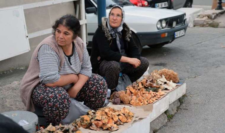 Çıntar pazara indi! Bulması da toplaması da zor: Kilosu 150 lira