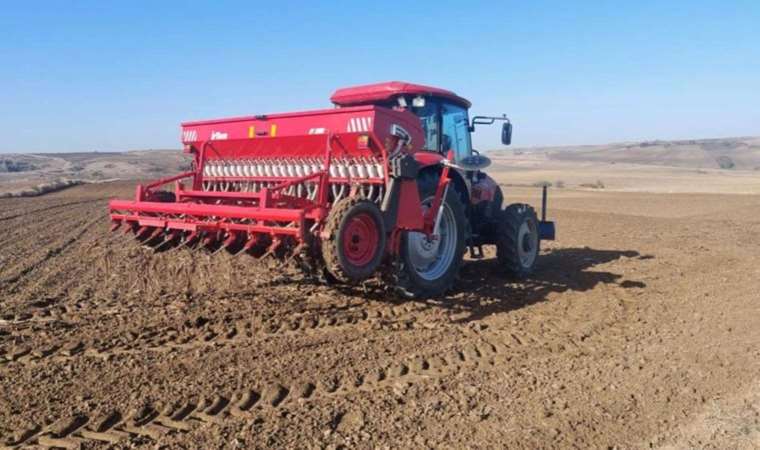Tekirdağ'da ekim zamanı: Ayçiçeğinin yerini aldı...