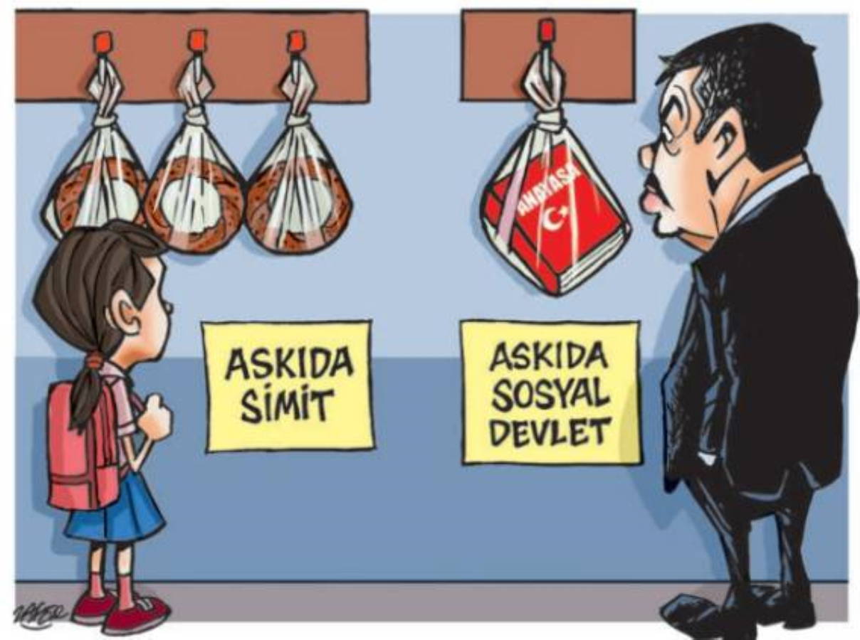 İğneli Fırça (08 Kasım 2023)