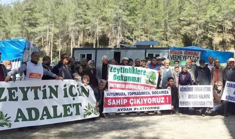 Danıştay, zeytinlik alanlarda madencilik faaliyetlerine ‘dur’ dedi!