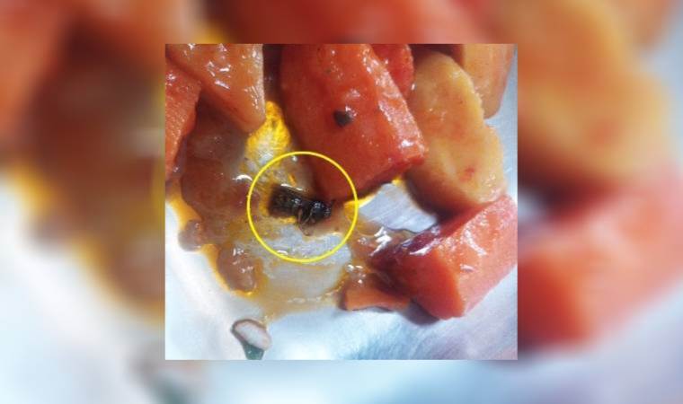 Yemekten böcek çıktı!