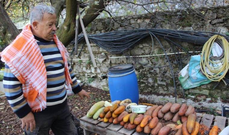 Ömrünü ata tohumuna atadı: "Çengelköy salatalığının tohumu da Hollanda’dan geliyor”
