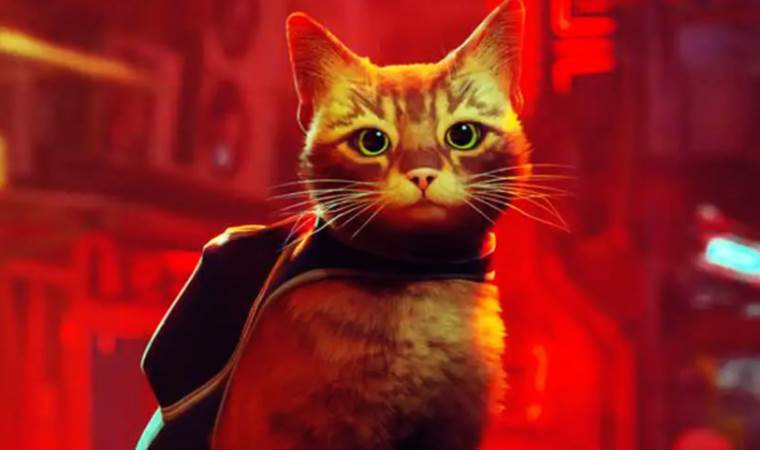 Kedi macerası Stray Mac'lere geliyor; işte geleceği tarih