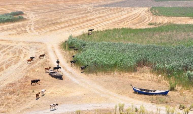 Taşıma su ile göl dolduracaklar