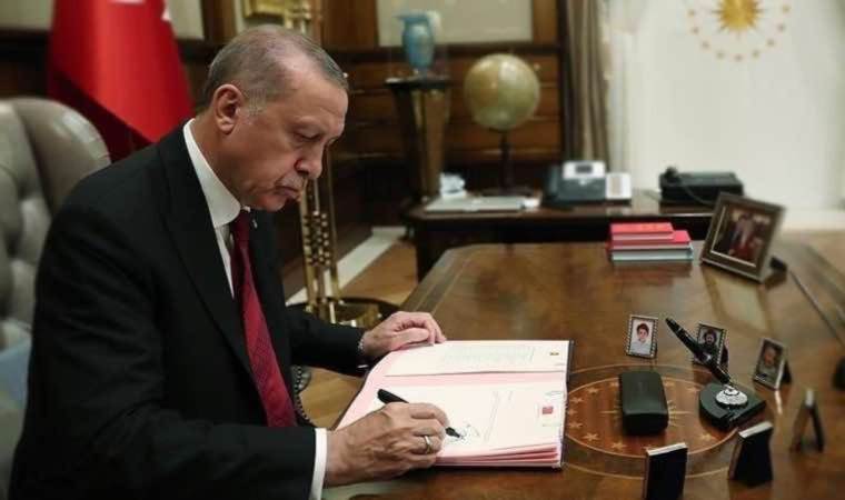 Herkes Fatih Terim Fonu'nu konuşurken bir fon daha! Yetki Erdoğan'da...