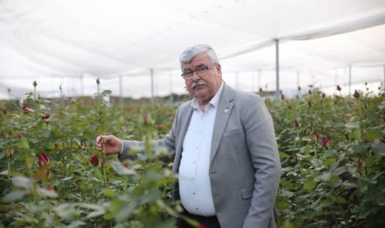 Tanesi  15 TL oldu, üretici çoğaldı! Hasat sezonu 8 ay sürüyor...