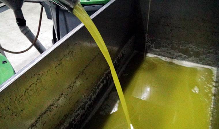 Denizli’de bin litre sahte zeytinyağı ele geçirildi