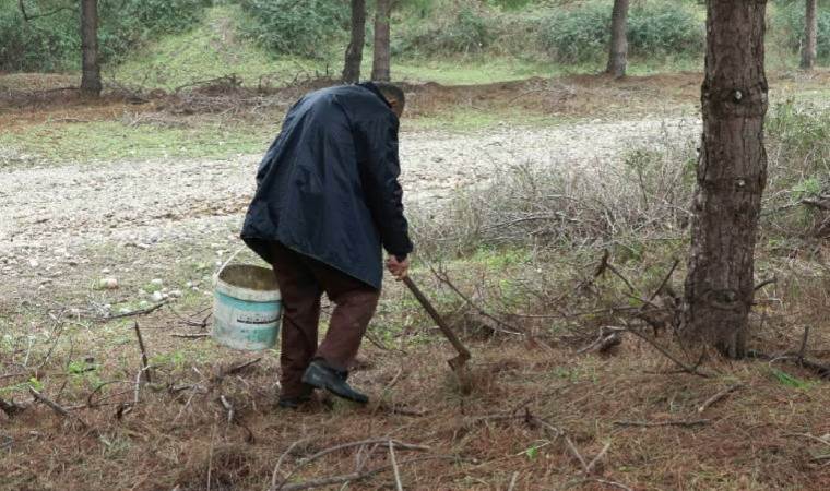 İstanbul'da 'mantar' alarmı... 11 kişi hastaneye kaldırıldı!