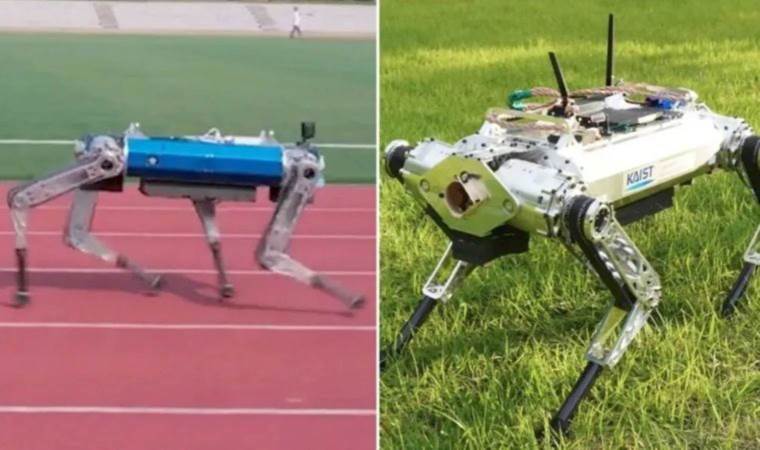 100 metreyi saniyeler içinde koşan robot Guinness Rekorlar'ına girdi