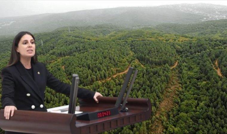 “Yeni bir rant planı mı?”