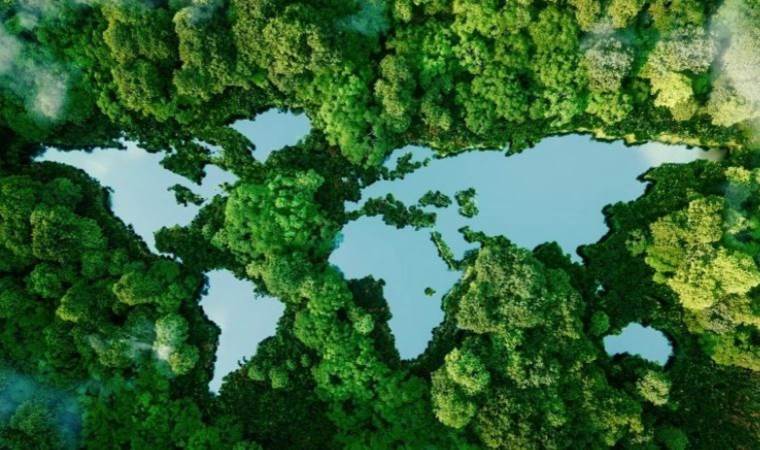 Biyoçeşitlilik Zirvesi 2024'te Kolombiya'da yapılacak