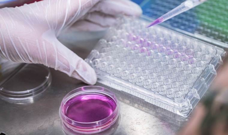 Mitolojiden bilime ‘yenilenmek’