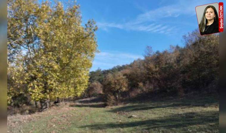 Yeni hedef Balıkesir