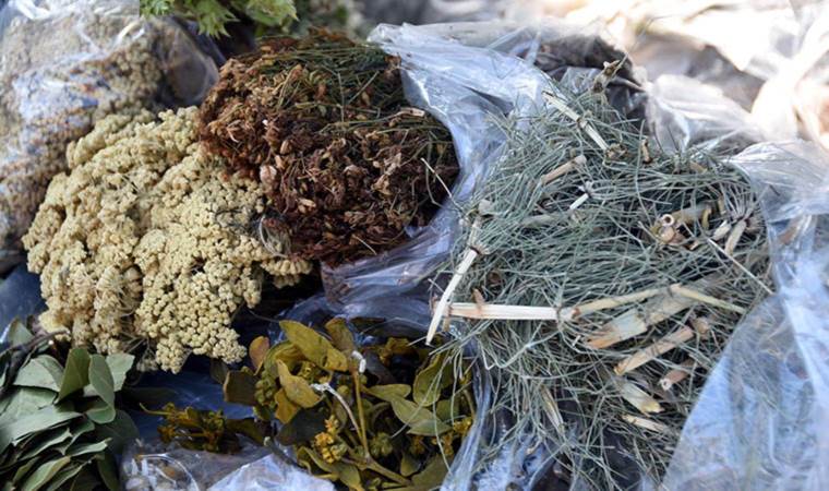 Dikkat çeken 'bitkisel ürün' uyarısı: 'Masum olmayabilir...'