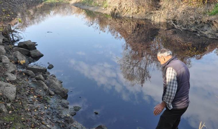 Rengi siyaha döndü: Karasu Çayı'nda balık ölümlerine inceleme