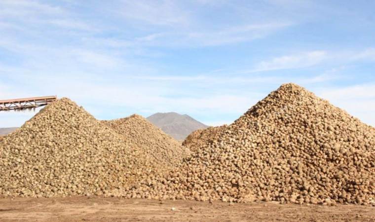 Karaman'da rekor hasat! Ürünler dağ gibi birikti...