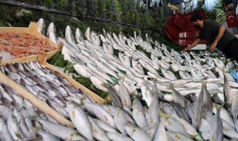 Denizden gelen lezzet: Aralık ayında hangi balıklar yenir?