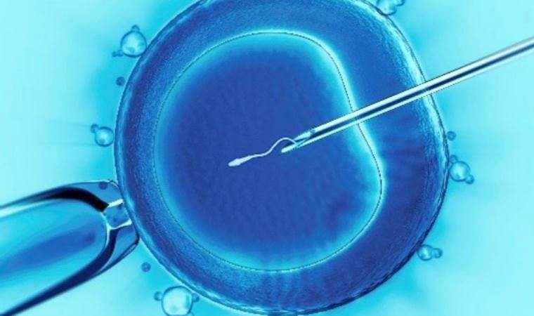 Prof. Dr. Gökalp Öner, tüp bebek tedavisinde yapay zeka projesiyle Harvard'a gidiyor