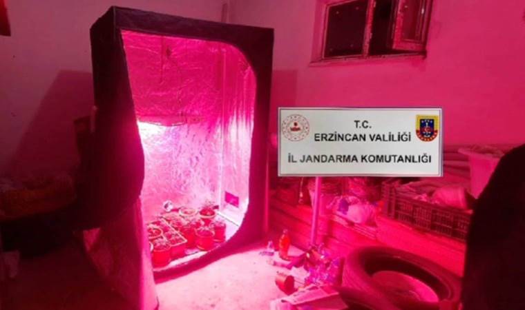 Yer: Erzurum... Evde kenevir yetiştirmek için 'iklimlendirme sistemi' kurmuş