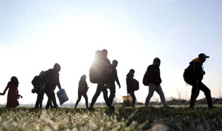 Erzincan'da 19 düzensiz göçmen yakalandı