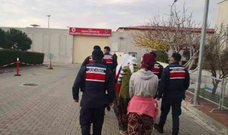 Zeytin hırsızları jandarma tarafından suçüstü yakalandı