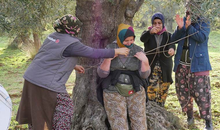 Hasadı bitiren zeytin işçileri kahyayı ağaca bağlayıp tarla sahibinden bahşiş istedi