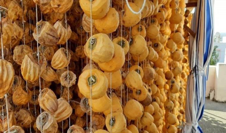 Kurutup tüketilen meyve kanseri bile engelliyor! Hem bağırsakların hem de bağışıklığın şifası...