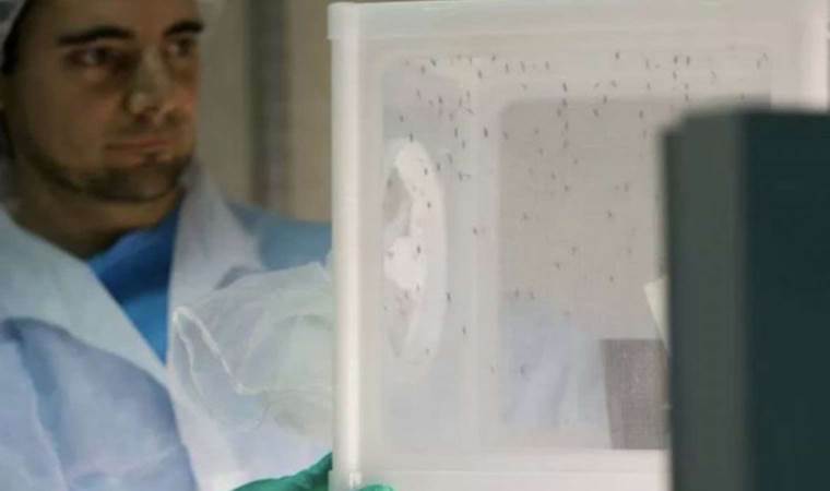 İkinci sıtma aşısı DSÖ'nün ön yeterlilik sürecinden geçti